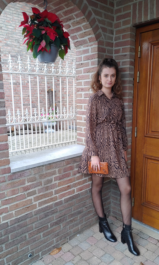 Dress Brown with collar